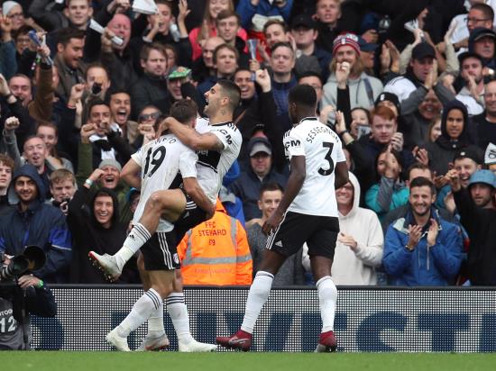 Mitrovic gets the point for Fulham