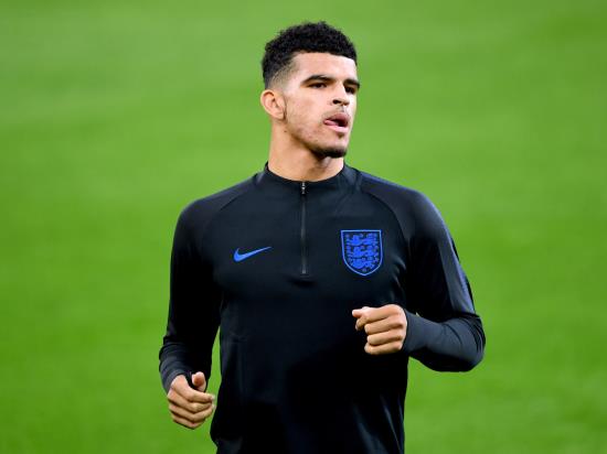 Solanke’s Bournemouth debut may not be before February due to hamstring problem