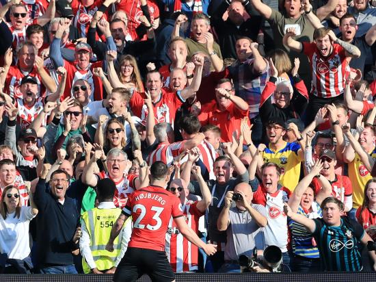 Vital win for Southampton in relegation battle with Brighton