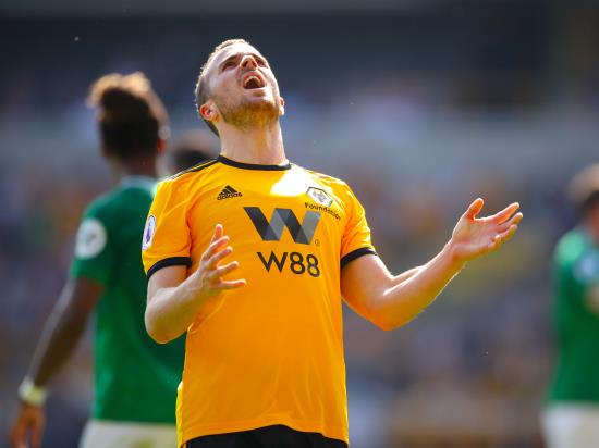 Brighton end losing run and boost survival hopes with draw at Wolves