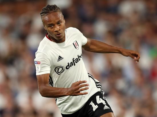 Fulham to assess Bobby Reid’s fitness for clash with Bristol City