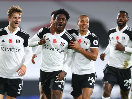 Fulham end wait for a win by beating fellow strugglers West Brom