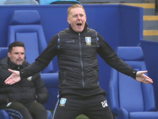 Garry Monk: Things will start falling into place for Owls