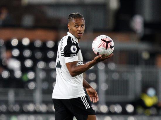 Fulham’s survival could be in the hands of Bobby Decordova-Reid, says manager