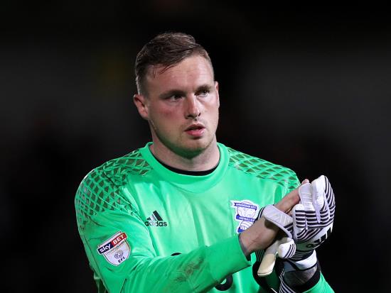 David Stockdale earns Wycombe a point from draw at Millwall