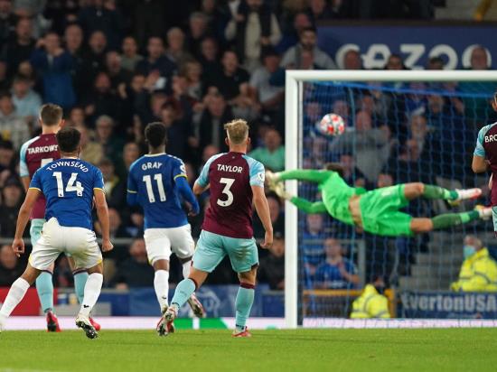 Andros Townsend’s stunner keeps Everton flying under Rafael Benitez