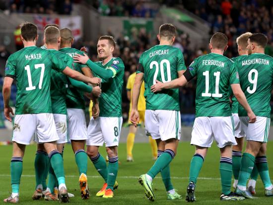 Northern Ireland end long wait for home win as own goal sees off Lithuania