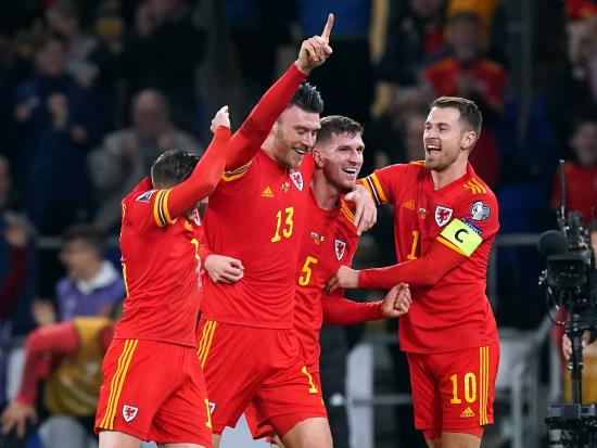 Wales 1 - 1 Belgium: Wales earn home World Cup play-off with battling draw against Belgium