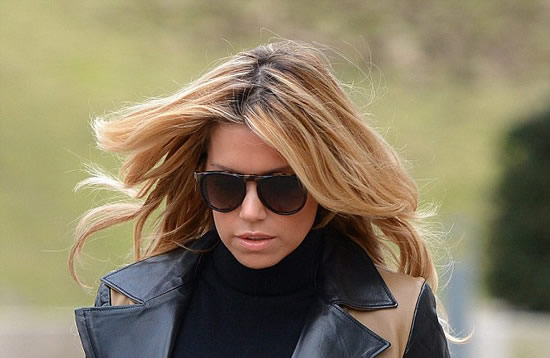 Sylvie van der Vaart is single again after split from Rafael