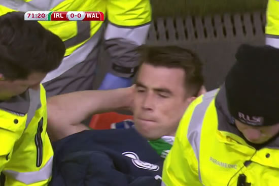 Seamus Coleman injury: Everton star suffers broken leg Ireland v Wales after horror tackle