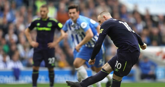 Brighton & Hove Albion 1 - 1 Everton: Wayne Rooney's late penalty sees Everton snatch a point at Brighton
