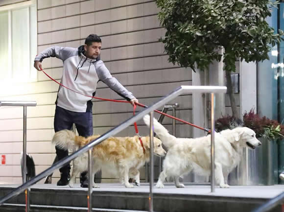 Alexis Sanchez given special permission by Lowry Hotel to allow his beloved dogs to stay after Manchester United move