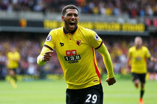 Watford ace Etienne Capoue banned from driving after overtaking cops at 116mph