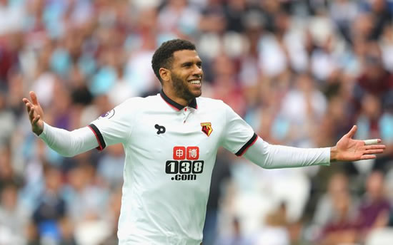 Watford ace Etienne Capoue banned from driving after overtaking cops at 116mph