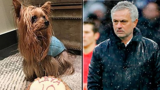 Mourinho's sad Christmas: My dog died and my dog is my family