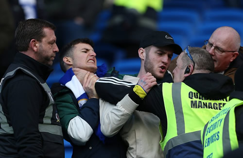 Cardiff fans in bust-up with stewards and security guards in Swansea clash as South Wales derby heats up