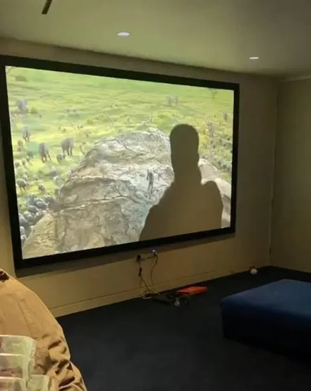 Dele Alli posts hilarious Lion King impression with dog Uno as Tottenham star shows off giant projector TV at his house