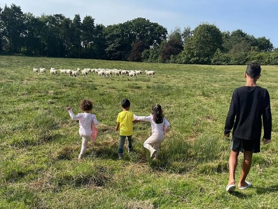 MAN EWE Cristiano Ronaldo switches mansions after bleating sheep kept waking him up