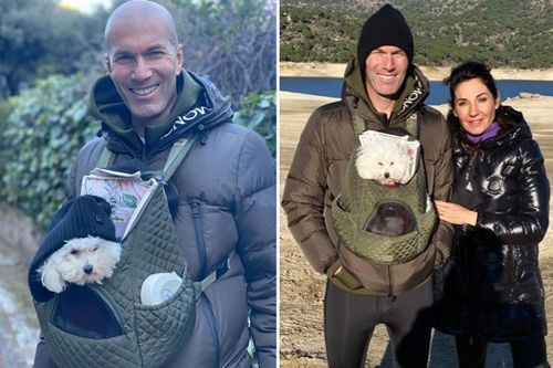 Zinedine Zidane takes a stroll wearing a backpack with a DOG in it as Real Madrid legend continues to be linked with PSG