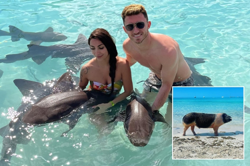 Aymeric Laporte and stunning Wag Sara swim with SHARKS and pigs as Man City star enjoys mid-season holiday in Bahamas