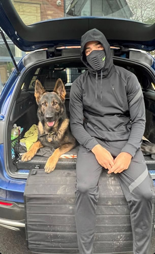 Man Utd star Mason Greenwood protecting home with £25k attack dog after police bail