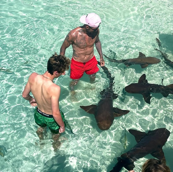 GOLDEN-BALLSY David and Cruz Beckham paddle with SHARKS in Miami