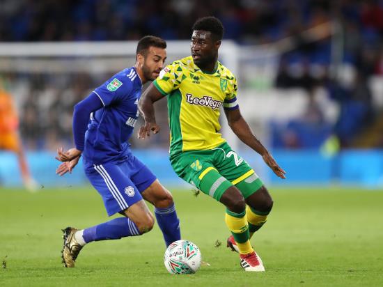 Alex Tettey and Todd Cantwell return to Norwich squad