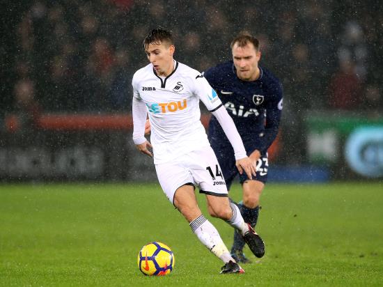 Swansea City vs Ipswich - Swansea hopeful Carroll will be fit