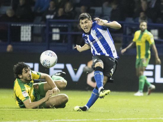 Sheffield Wed vs Brentford - Forestieri in contention for Sheffield Wednesday