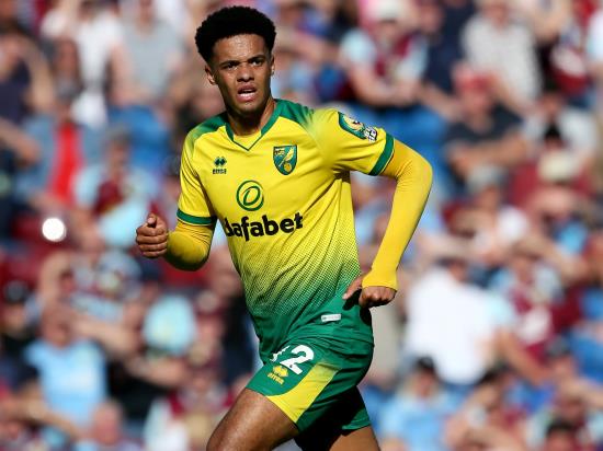 Jamal Lewis fit for Norwich
