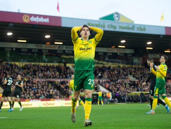 Kenny McLean a doubt as Norwich face Crystal Palace