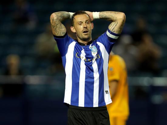 Steven Fletcher likely to miss out again for Sheffield Wednesday