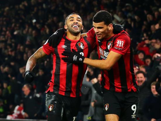 Bournemouth stop rot with crucial win in relegation fight