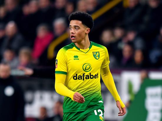 Jamal Lewis strike gives Norwich vital victory over Leicester