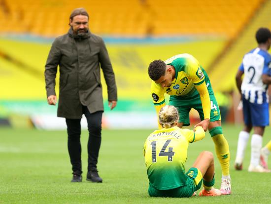 Norwich boss Daniel Farke accepts relegation after defeat to Brighton