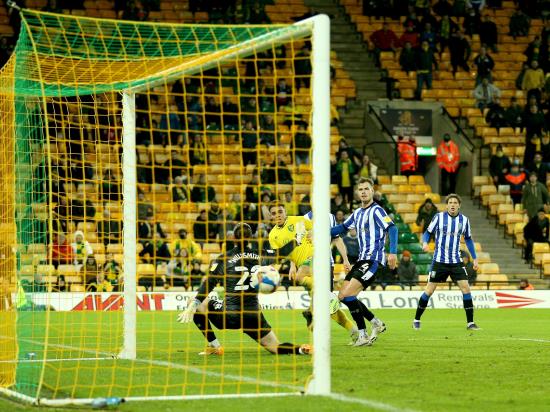 Norwich leave it late to beat Sheffield Wednesday and return to the top