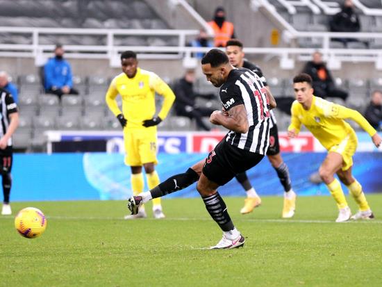 Callum Wilson penalty rescues point for Newcastle against 10-man Fulham