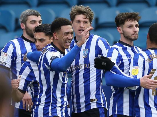 Liam Palmer effort enough as Sheffield Wednesday edge Preston