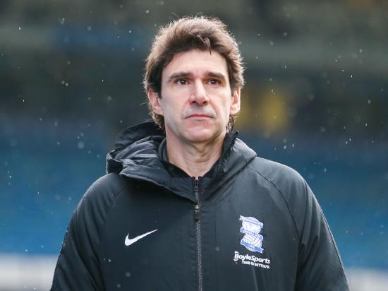 Aitor Karanka convinced Birmingham have enough to stay up