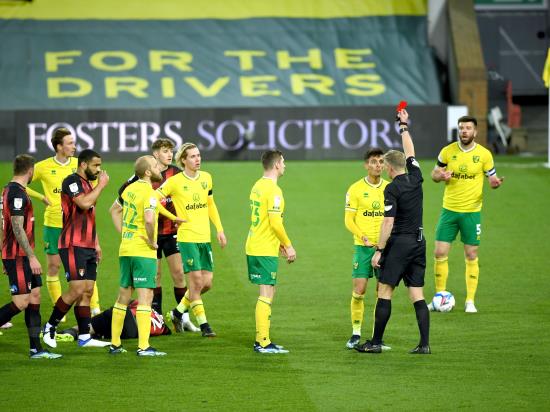 Bournemouth crash Norwich’s promotion party to boost Premier League return hopes