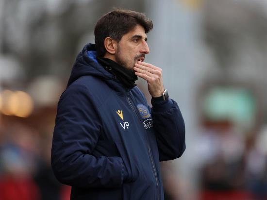 Reading boss Veljko Paunovic without several players for visit of Fulham