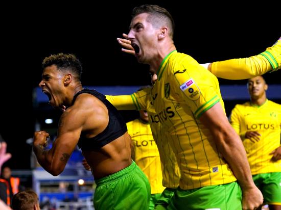 Onel Hernandez hurts Birmingham with last-gasp winner for in-form Norwich