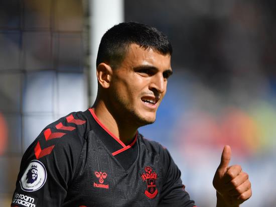 Mohamed Elyounoussi and Ibrahima Diallo available for Southampton