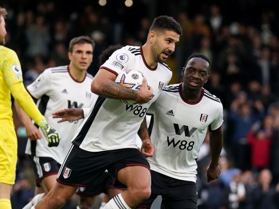 Aleksandar Mitrovic nets second-half equaliser as Fulham earn Bournemouth draw