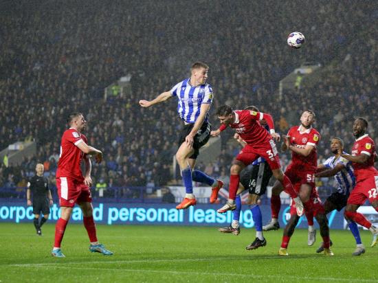 Mark McGuinness heads home winner as high-flying Owls defeat Shrewsbury