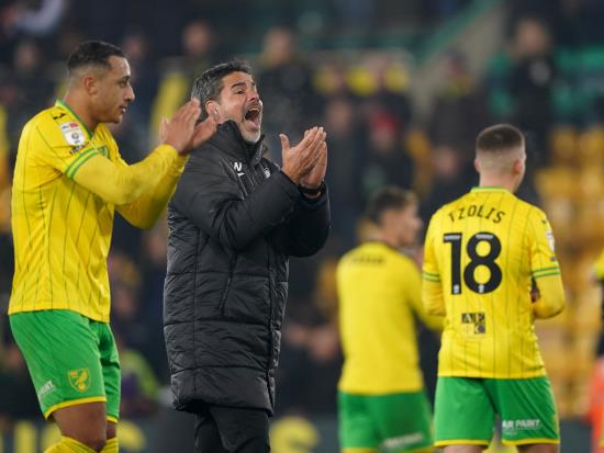 David Wagner delighted with overdue home win and performance