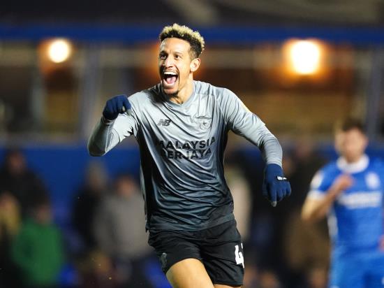 New boss Sabri Lamouchi celebrates first win as Cardiff cruise at Birmingham