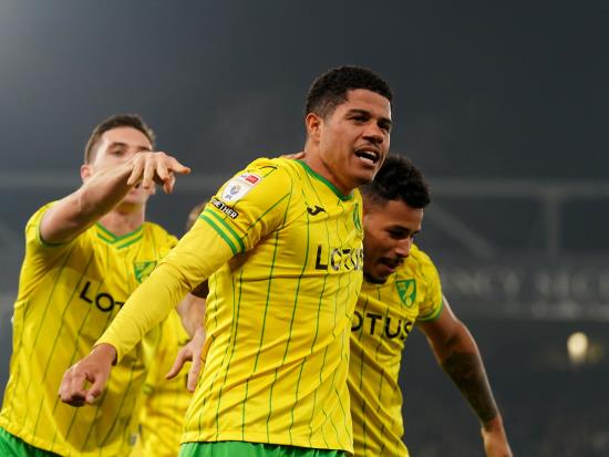 Norwich dominate Hull to end long wait for home win