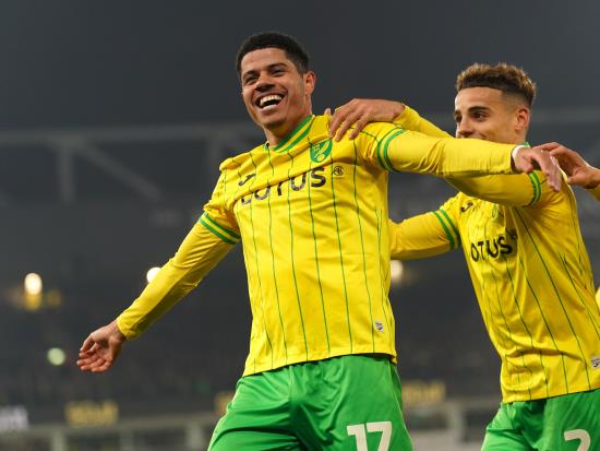 Brilliant Brazilians Gabriel Sara and Marquinhos seal Norwich win over Cardiff
