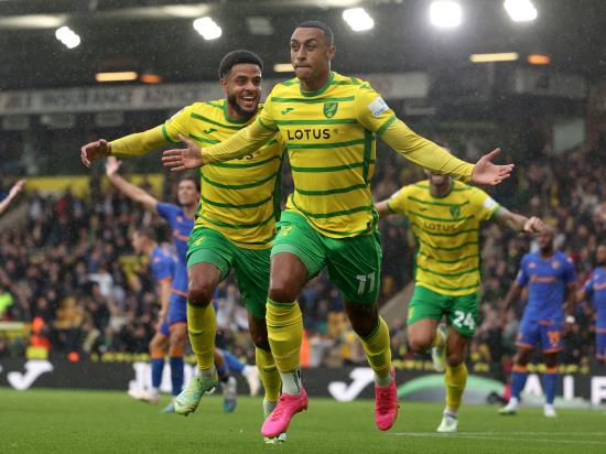 Adam Idah’s stoppage-time winner helps Norwich snatch three points against Hull